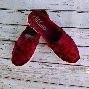 Toms classic black cherry velvet 3.5